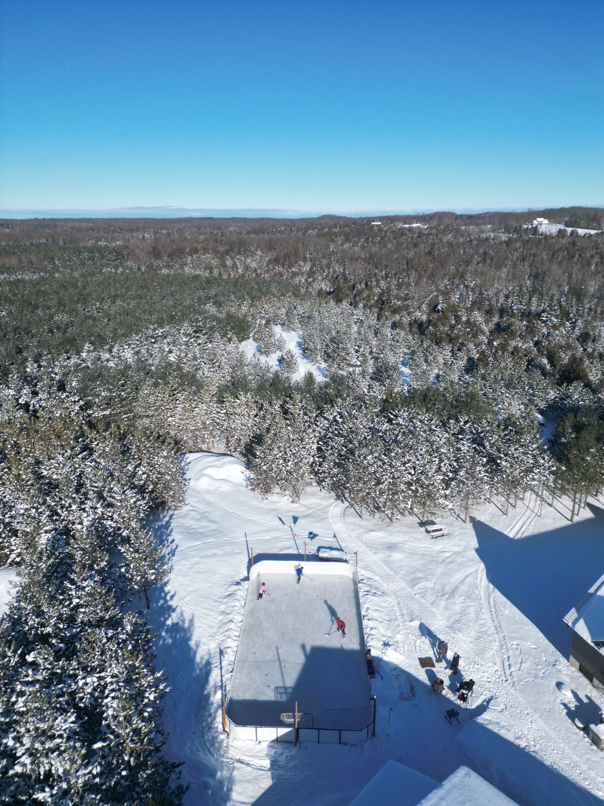 Photo de patinoire 6