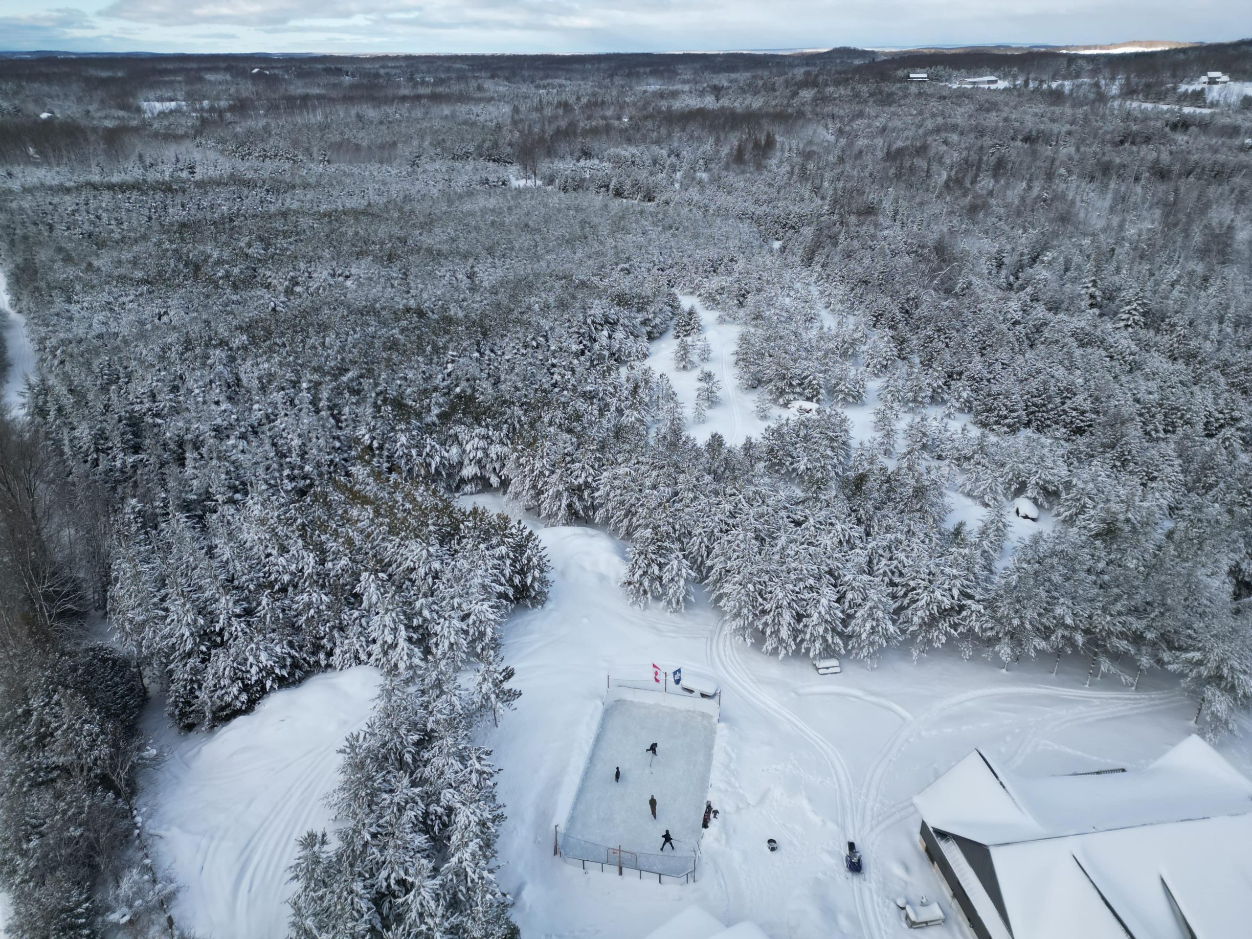 Photo de patinoire 5
